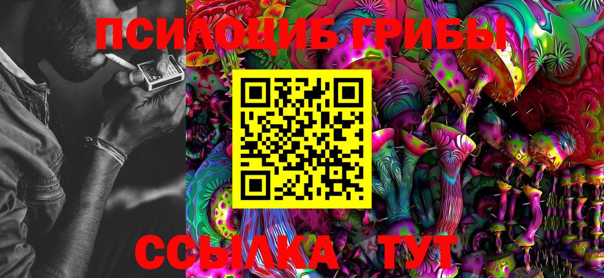 Псилоцибиновые грибы Psilocybine cubensis Кузнецк