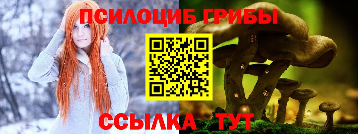 Галлюциногенные грибы Psilocybe  Вход с VPN  Псилоцибиновые грибы мухоморы  Кузнецк 