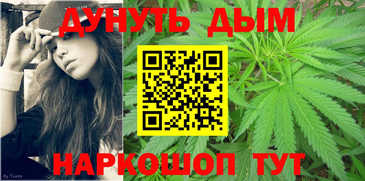 Канабис семена Кузнецк